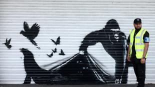 Banksy conclui s&eacute;rie de pinturas com animais em Londres