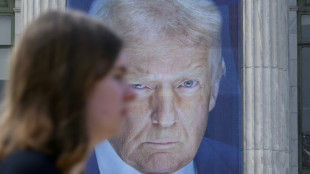 Trump will "bezahlte" Wahlkampfhilfe f&uuml;r Harris durch Stars pr&uuml;fen lassen