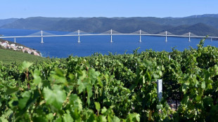La Croatie a inaugur&eacute; un pont crucial vers Dubrovnik, en contournant la Bosnie
