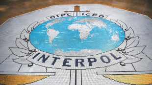 Cybercriminalit&eacute; en Afrique: plus de 1.200 arrestations dans une vaste op&eacute;ration (Interpol)