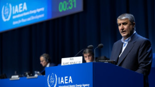 Ir&aacute;n afirma que aument&oacute; su capacidad de enriquecimiento de uranio, antes de la visita del OIEA