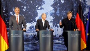 Gr&uuml;ne und FDP streiten vor Koalitionsausschuss weiter &uuml;ber k&uuml;nftigen Kurs
