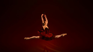 Londres: grand gala de danseurs &eacute;toiles pour l'Ukraine