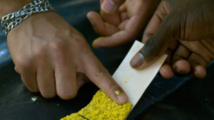 Le plus long blob du monde assembl&eacute; &agrave; Ch&acirc;teauroux