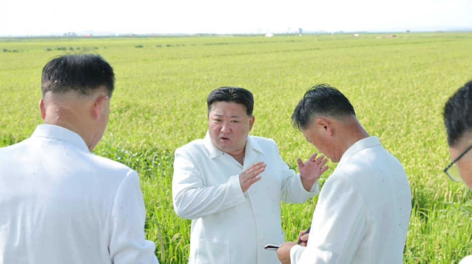 L&iacute;der norte-coreano visita planta&ccedil;&otilde;es afetadas por tuf&atilde;o em meio &agrave; escassez