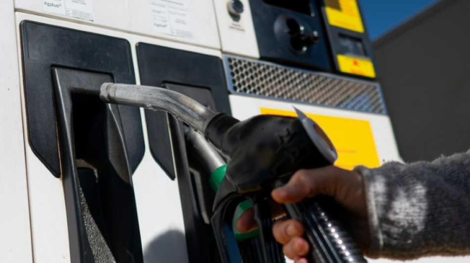 El Gobierno espa&ntilde;ol busca limitar el alza de la electricidad y los carburantes