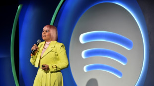 Indústria musical tenta enfrentar os abusos da IA, com pouco sucesso