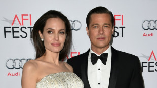 Angelina Jolie e Brad Pitt assinam acordo de div&oacute;rcio, segundo revista