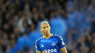 Tottenham complete signing of &pound;60 million Richarlison