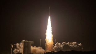 Europe-China spacecraft launches to study Earth's 'invisible armour'