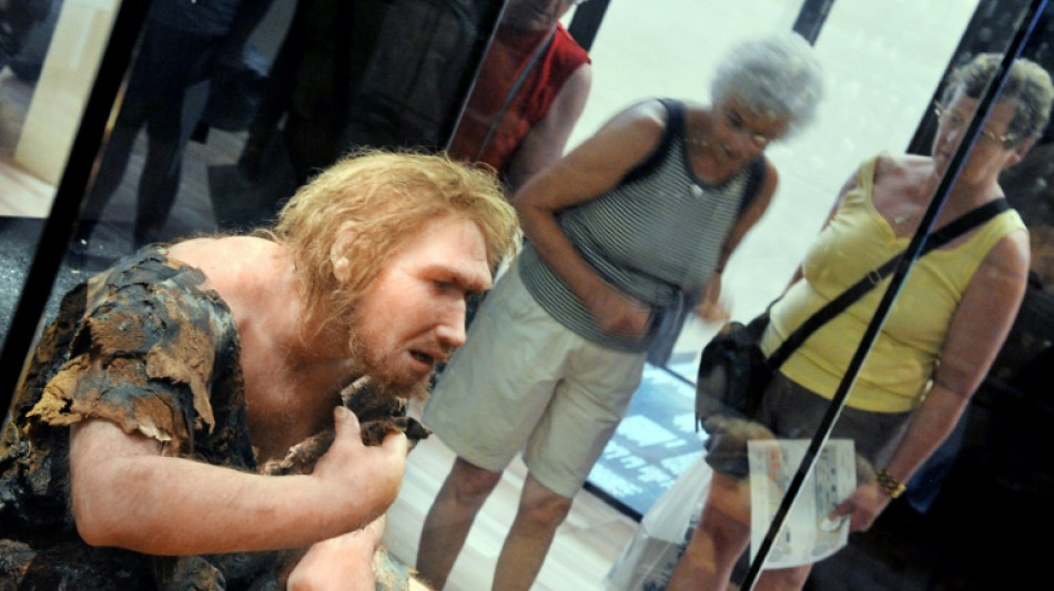 N&eacute;andertal et Homme moderne ont co-exist&eacute; en Europe sur plus de 2.000 ans 