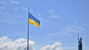 Ukraine feiert ihren Unabh&auml;ngigkeitstag - Russisches Akw von ukrainischer Drohne getroffen