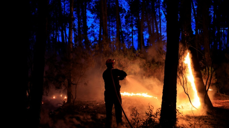 Premier gros incendie de l'ann&eacute;e dans le sud de la France: 600 hectares br&ucirc;l&eacute;s
