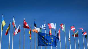 L'Europe aux urnes, les Pays-Bas lancent le marathon &eacute;lectoral