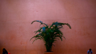 Rev&eacute;s para un museo espa&ntilde;ol en la batalla por un cuadro robado por los nazis