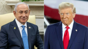 Trump re&ccedil;oit Netanyahu &agrave; un moment d&eacute;licat de reprise des discussions sur Gaza