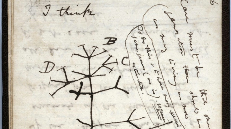 Misterioso regreso de cuadernos de Darwin a Cambridge tras desaparecer durante 20 años