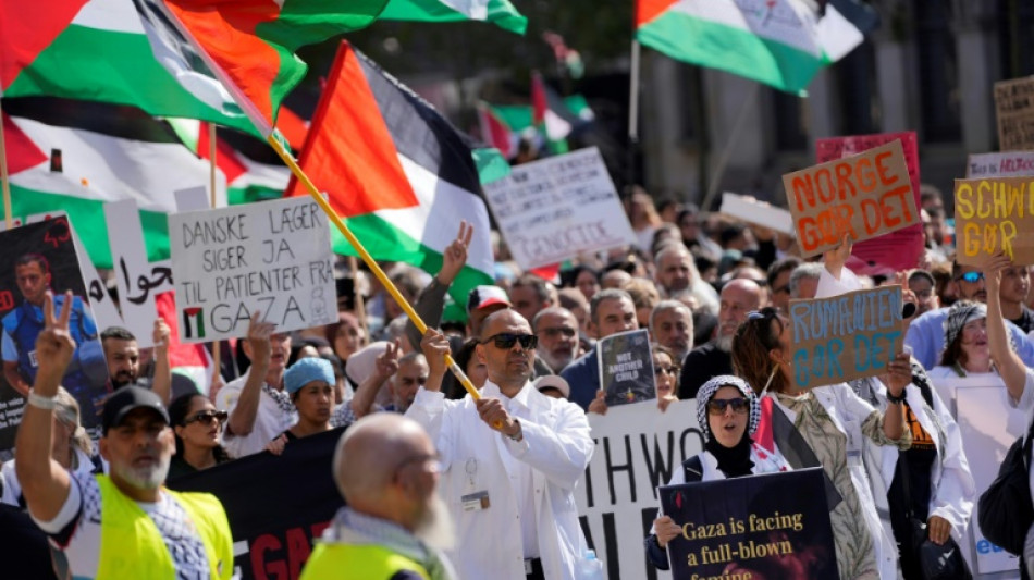 Milhares de pessoas participam de manifesta&ccedil;&atilde;o pr&oacute;-palestinos em Copenhague