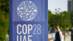 Monarques, carbone et dollars: une COP28 hors norme s'ouvre &agrave; Duba&iuml;