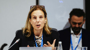 Urban temps turning cities into 'ovens,' UN Chief Heat Officer warns