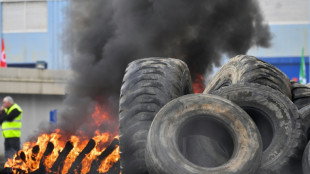 Fermeture d'usines Michelin: 150 salari&eacute;s manifestent &agrave; Vannes