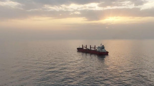 Riad prepara 'una coalizione navale per difendere il Mar Rosso'