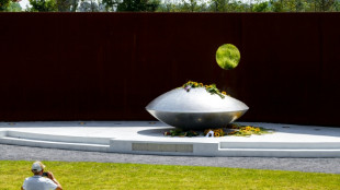 Rusia presenta apelaci&oacute;n ante la CIJ para refutar su responsabilidad en derribo del vuelo MH17