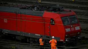 Zugverkehr zwischen Hamburg und Berlin gest&ouml;rt - Bahn spricht von "Vandalismus"