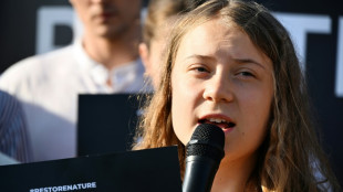 Greta Thunberg fined over Sweden climate protest