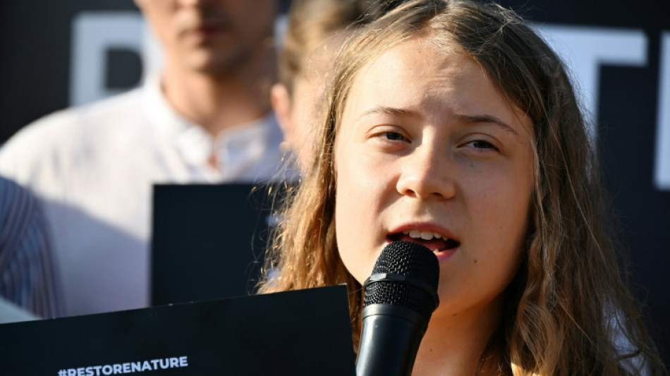 Jug&eacute;e en Su&egrave;de, Greta Thunberg &eacute;chappe &agrave; une peine de prison
