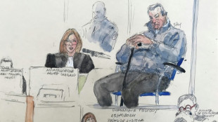 Proc&egrave;s des viols de Mazan: Dominique Pelicot ne fait pas appel contrairement &agrave; d'autres accus&eacute;s