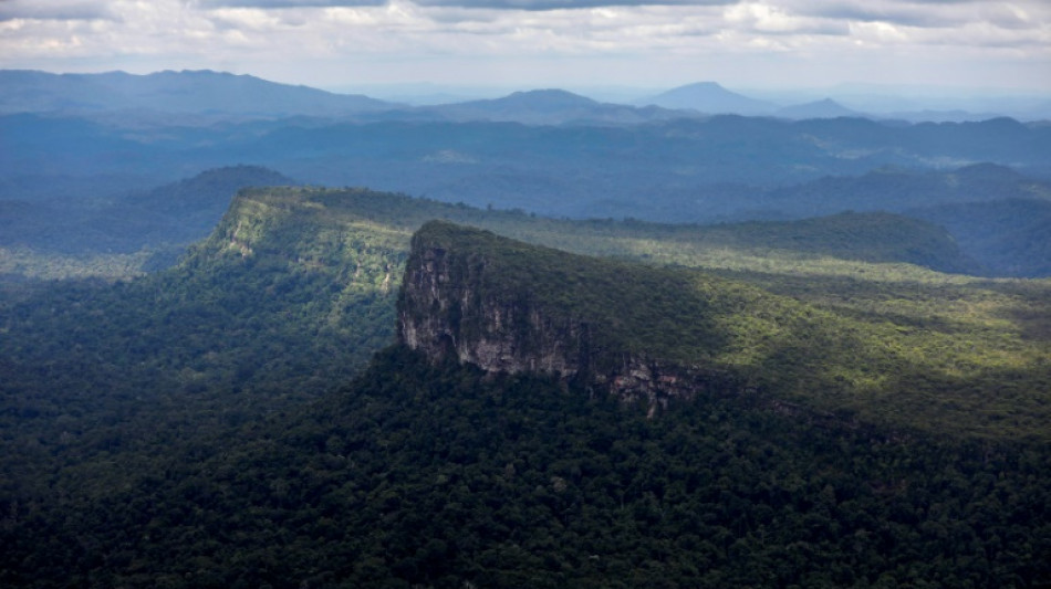 Br&eacute;sil: des orpailleurs fuient les terres yanomami avant l'arriv&eacute;e de la police