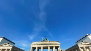 Berliner CDU f&auml;hrt auch bei Bezirkswahlen deutliche Erfolge ein
