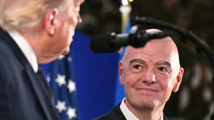 Europarat: Fifa muss nach Trump-Skandal bei der WM an eigener "Integrit&auml;t" arbeiten