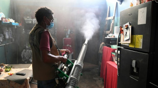 Honduras reporta 20 mortes por dengue em 2024, pior registro da Am&eacute;rica Central