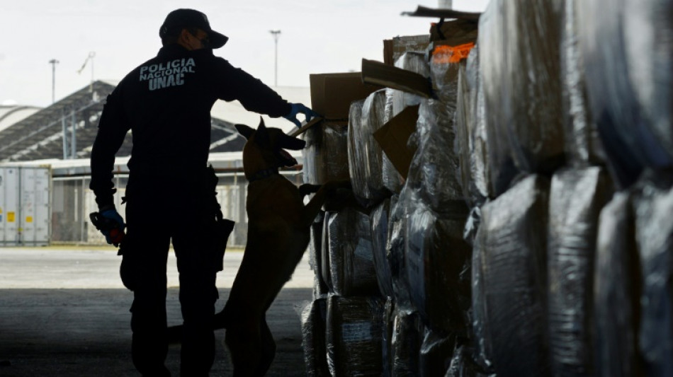 De Guayaquil al mundo, coca&iacute;na por toneladas
