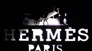 Hermes confirms outlook for rising sales in 2025