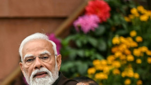 La presidenta de Venezuela aborda la cooperaci&oacute;n energ&eacute;tica con India en una llamada con el primer ministro