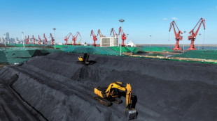 Experten: Chinas Kohlekonsum k&ouml;nnte 2025 Maximum erreichen und dann sinken