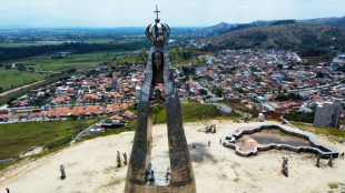 Brazil court orders removal of fake posts amid patron saint election row