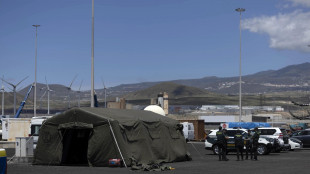 Tenerife fra paura e solidariet&agrave; per l'arrivo della nave con focolaio hantavirus