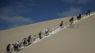 Apr&egrave;s l'incendie, les vacanciers de retour sur la dune du Pilat 