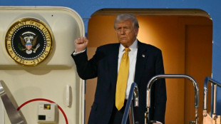 Commerce et d&eacute;fense dominent la visite de Trump au Japon