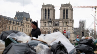 Gr&egrave;ve des &eacute;boueurs &agrave; Paris: vers une sortie de crise