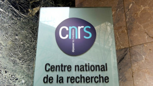 Le CNRS lance son programme pour attirer en France les chercheurs menac&eacute;s