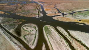 Temp&eacute;ratures extr&ecirc;mes: l'Irak est un "signal d'alarme" pour la plan&egrave;te