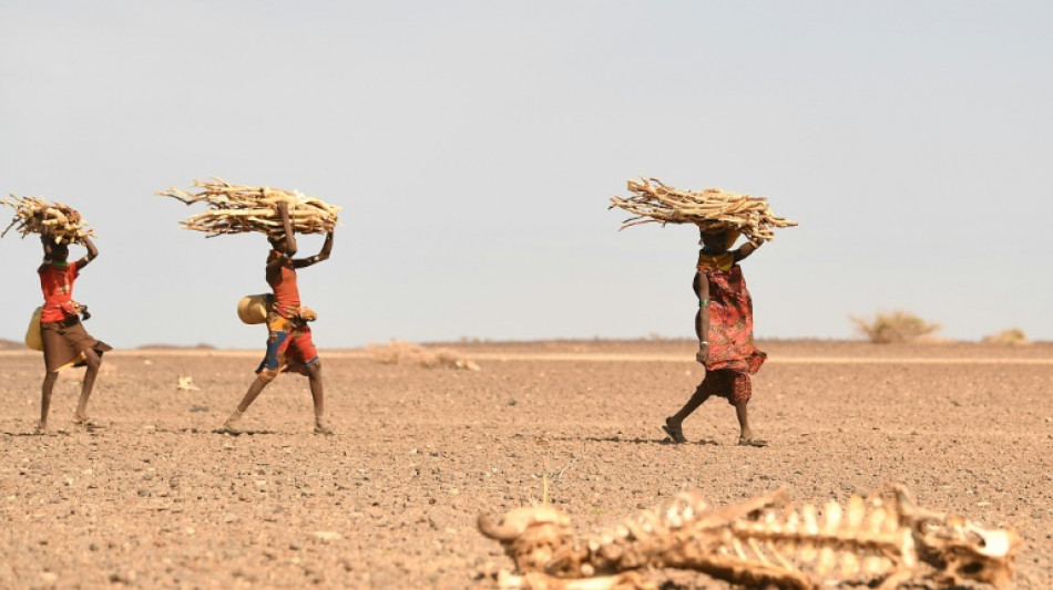 Au Kenya, la famine menace mais les yeux sont riv&eacute;s sur la pr&eacute;sidentielle