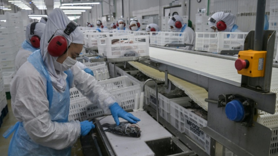 Desemprego no Brasil se mant&eacute;m no m&iacute;nimo hist&oacute;rico, apesar das tarifas de Trump