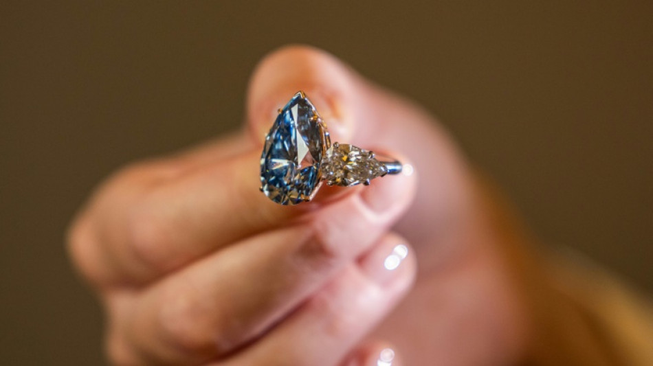 Le Bleu Royal, "meilleur diamant de sa cat&eacute;gorie", pr&ecirc;t &agrave; battre des records &agrave; Gen&egrave;ve