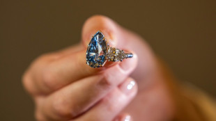 Le Bleu Royal, "meilleur diamant de sa cat&eacute;gorie", pr&ecirc;t &agrave; battre des records &agrave; Gen&egrave;ve